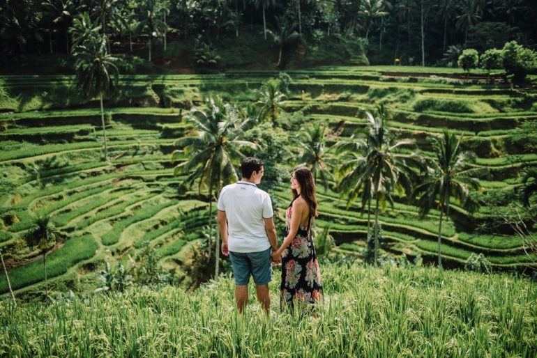 bali ubud rice field terrace