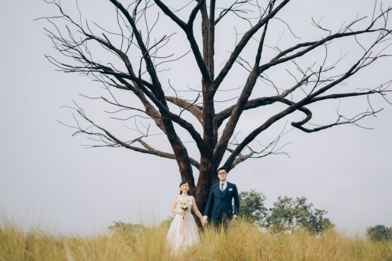 singapore wedding photoshoot jurong lake gardens