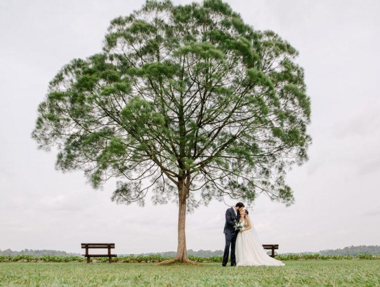singapore wedding photoshoot upper seletar reservoir