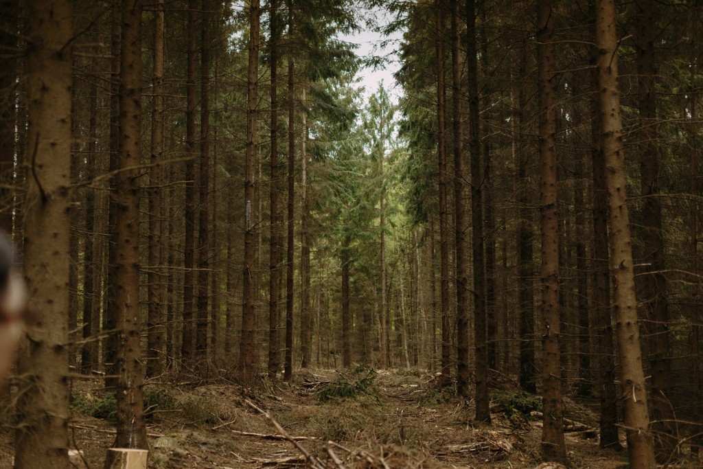 copenhagen elopement shoot by levi tijerina