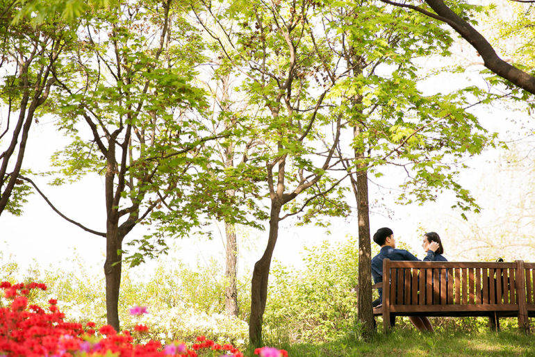 Korean couple shoot Seonyudo Park