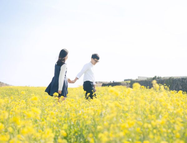 korean couple photoshoot in jeju canola fields