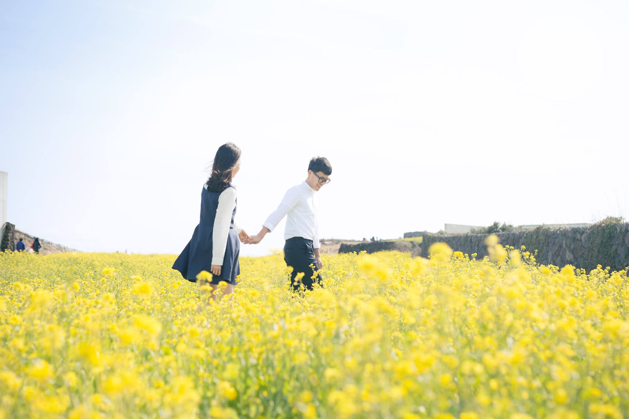 korean couple photoshoot in jeju canola fields
