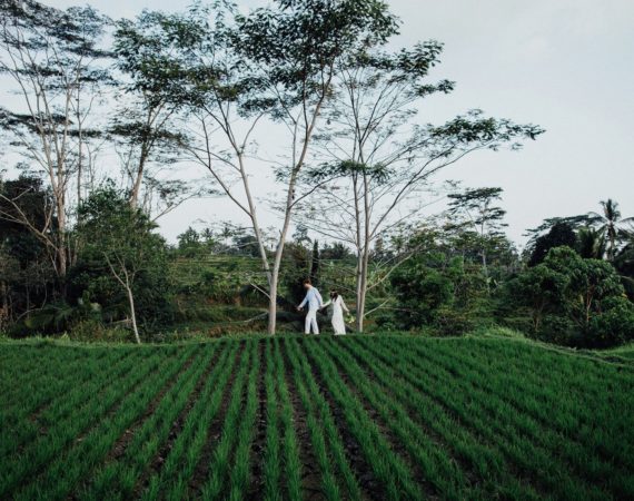 rainforest venues allila ubud 1