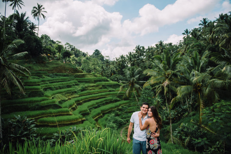 rice terraces in ubud bali