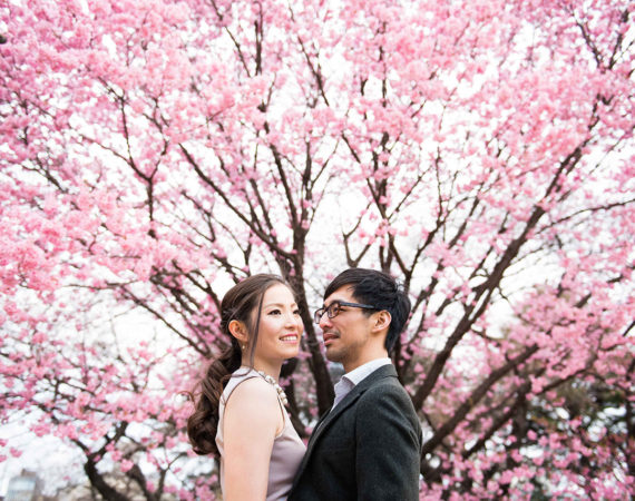 cherry blossom japan kai photography