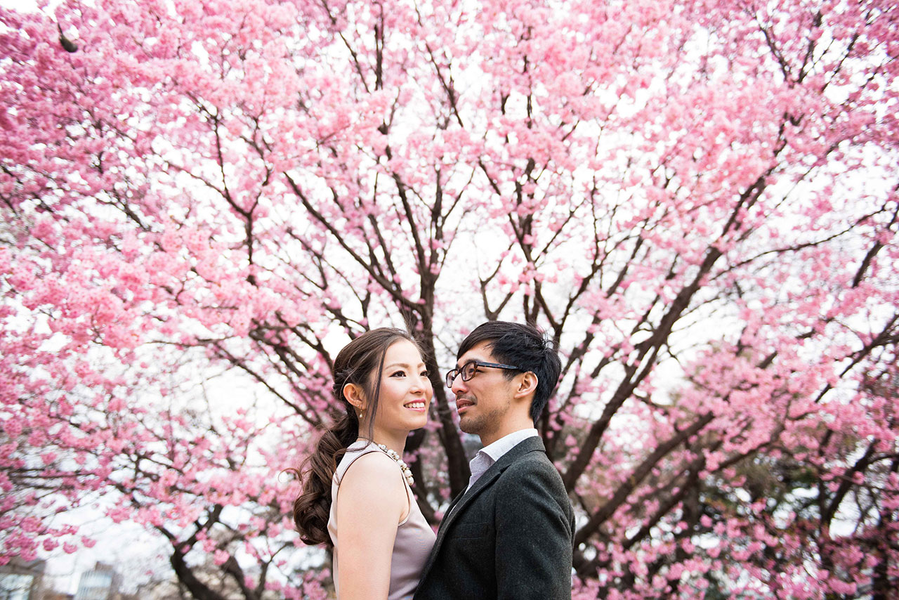 cherry blossom japan kai photography