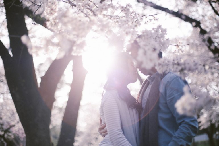 cherry blossoms in Japan hughs hue onethreeonefour 03