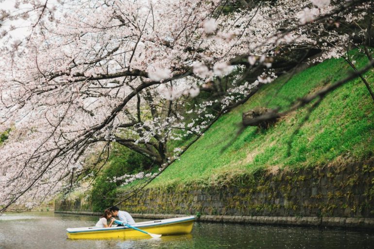 cherry blossoms in Japan synchronal photography onethreeonefour 03