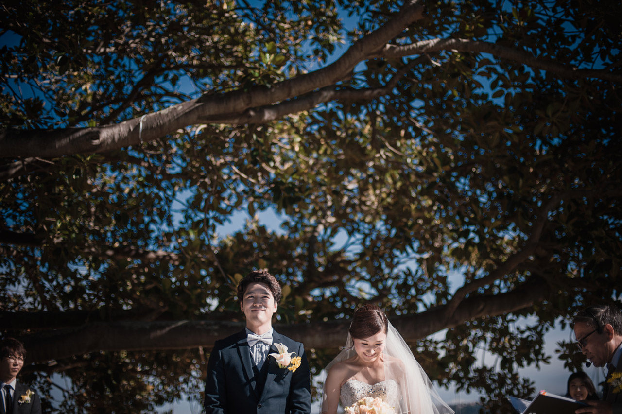 types of wedding suits 24photos boutonniere