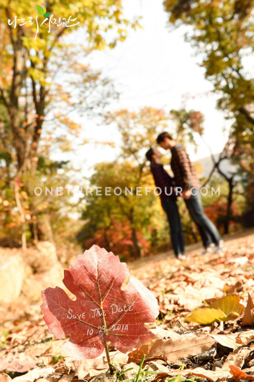 Autumn Engagement Photoshoot ideas - Nadri Studio