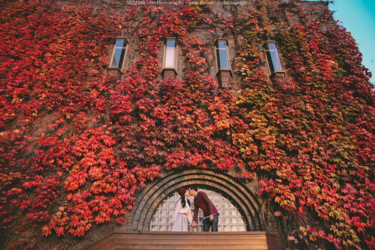 Autumn Engagement Photoshoot ideas - Studio Numb9r