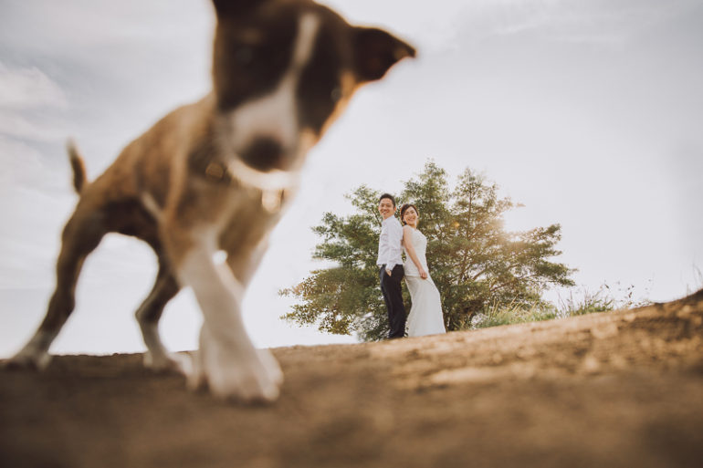 Fun and easy props for pre-wedding photoshoot - Maxtu photography