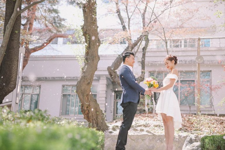 korea wedding photoshoot cherry blossom