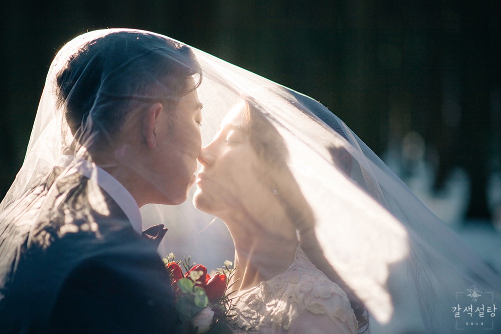 wedding photo pose kiss under veil