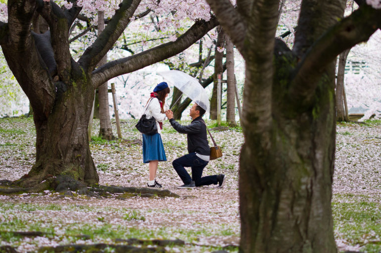 Best Proposal Locations Japan - Sunshine Photography