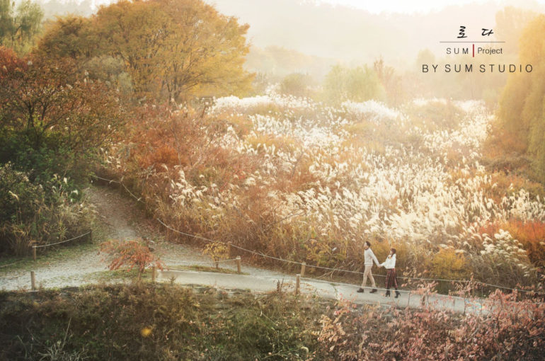 Best Season Korea - SUM Studio