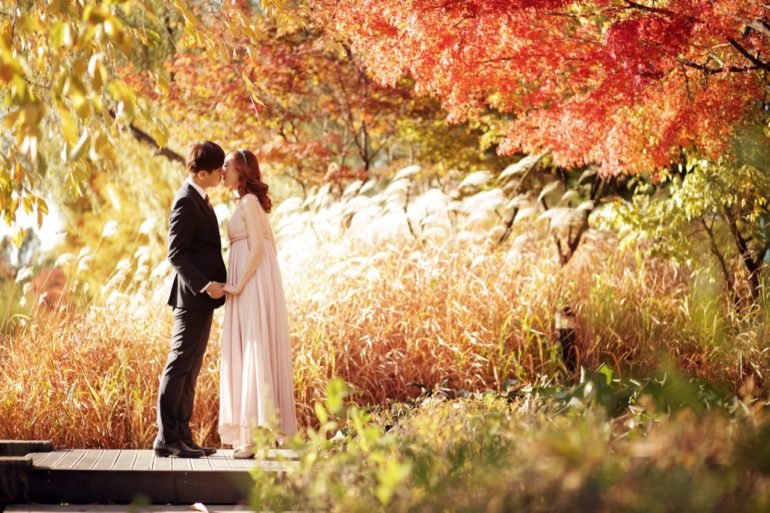 Best Season Korea - Skydal Photography