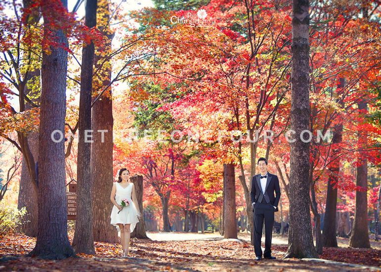 Best Season Korea - Chungdam Studio