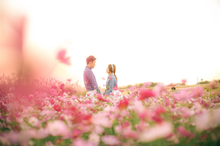 Korea couple photo shoot Seoul Haneul park flower field engagement photo