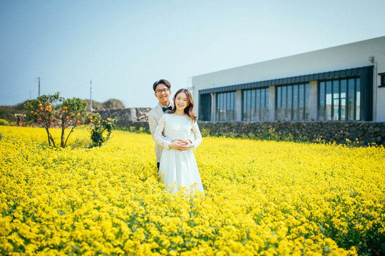 jeju island korea wedding photoshoot pre-wedding yellow flower field canola