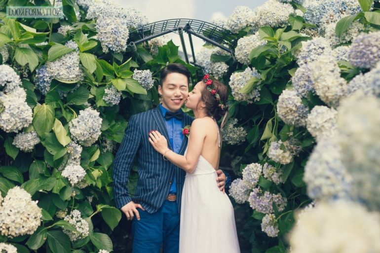 jeju wedding photo engagement photo flower summer hydrangeas