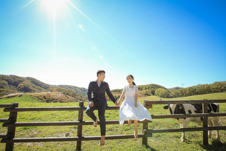 Korea wedding photo pre-wedding photo session farm ranch summer