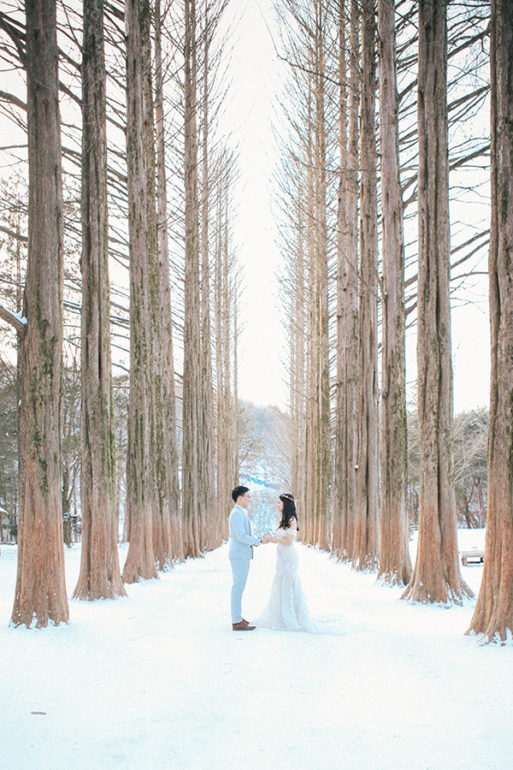 korea winter wedding photoshoot trees white theme engagement photo