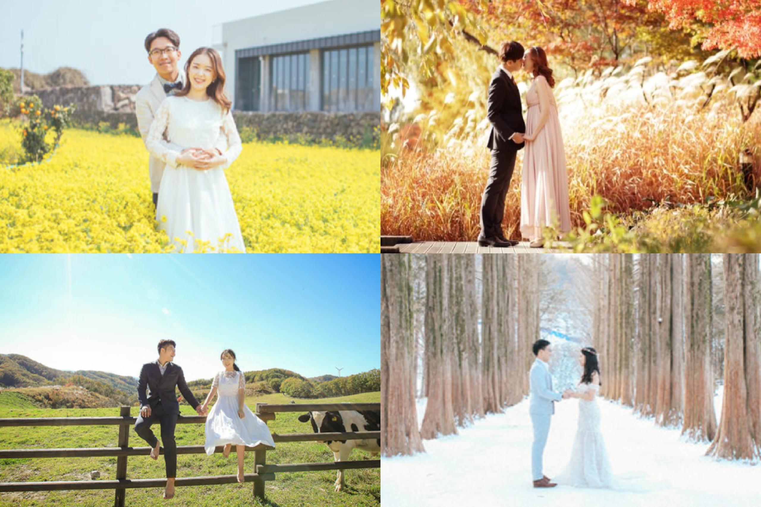 korea wedding photography seasons spring summer autumn winter