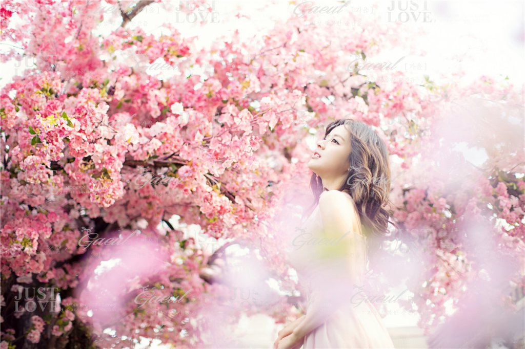 8 Tips On How To Dress Up For A Perfect Cherry Blossom Wedding ...