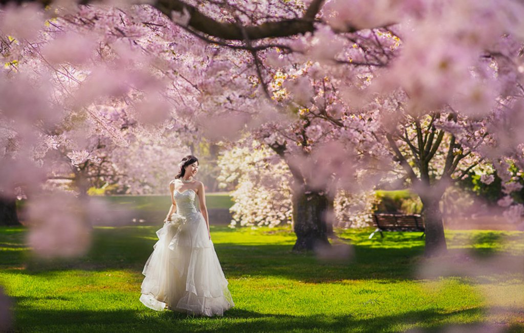 8 Tips On How To Dress Up For A Perfect Cherry Blossom Wedding ...