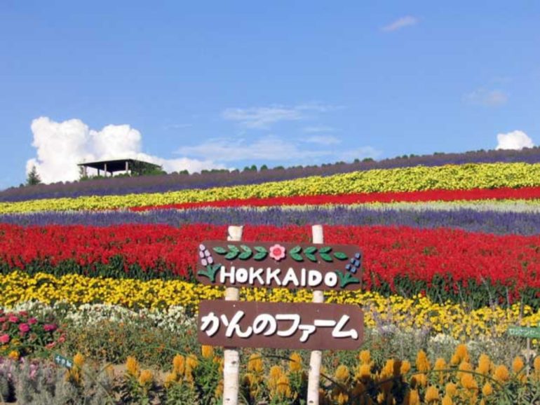 Field of Flowers (Kamifurano) Hokkaido Japan Poster Print - 48 x 16