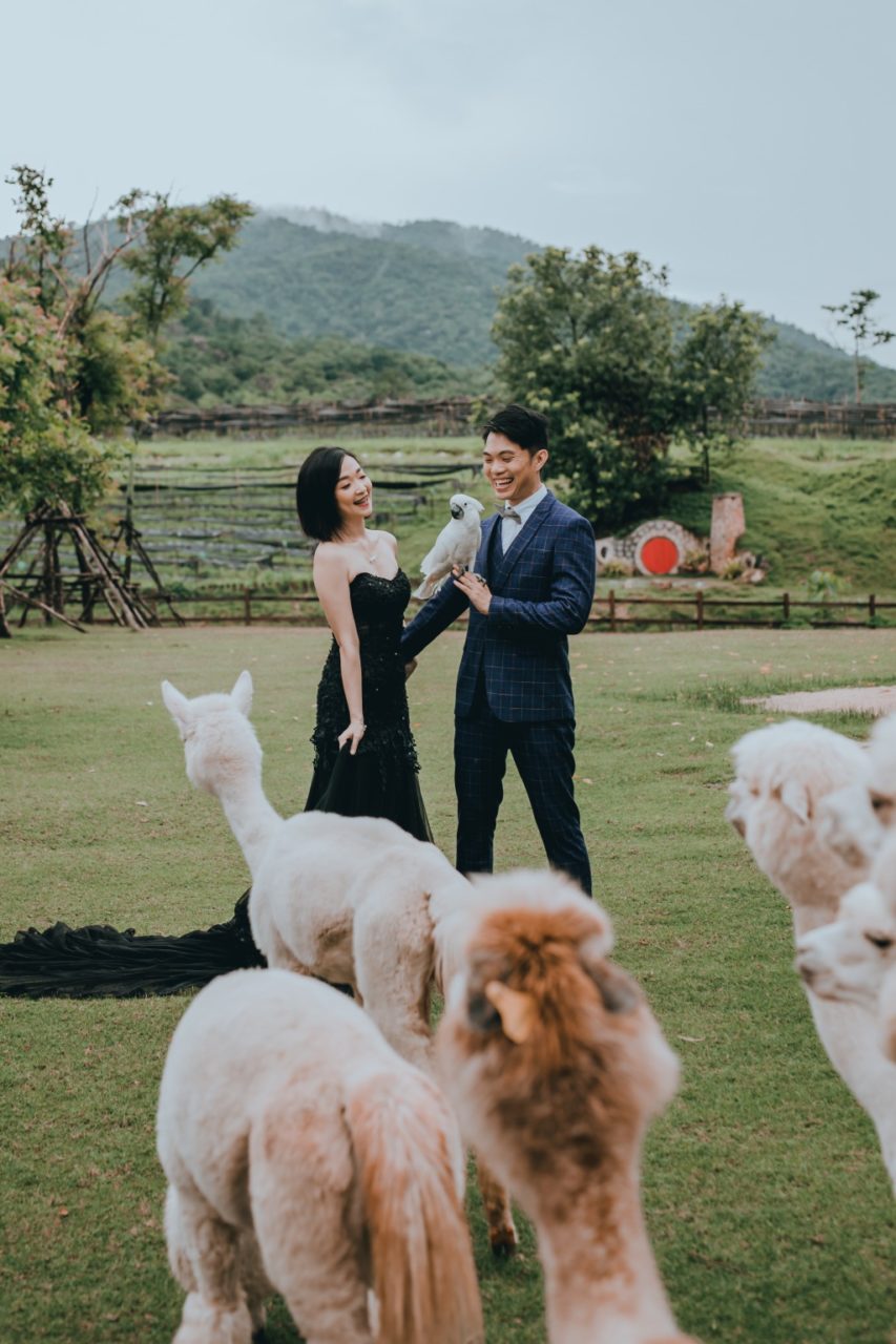 wedding couple black wedding dress in farm