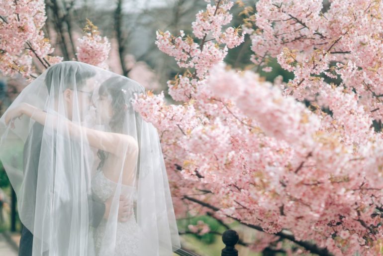 kyoto wedding photoshoot cherry blossoms
