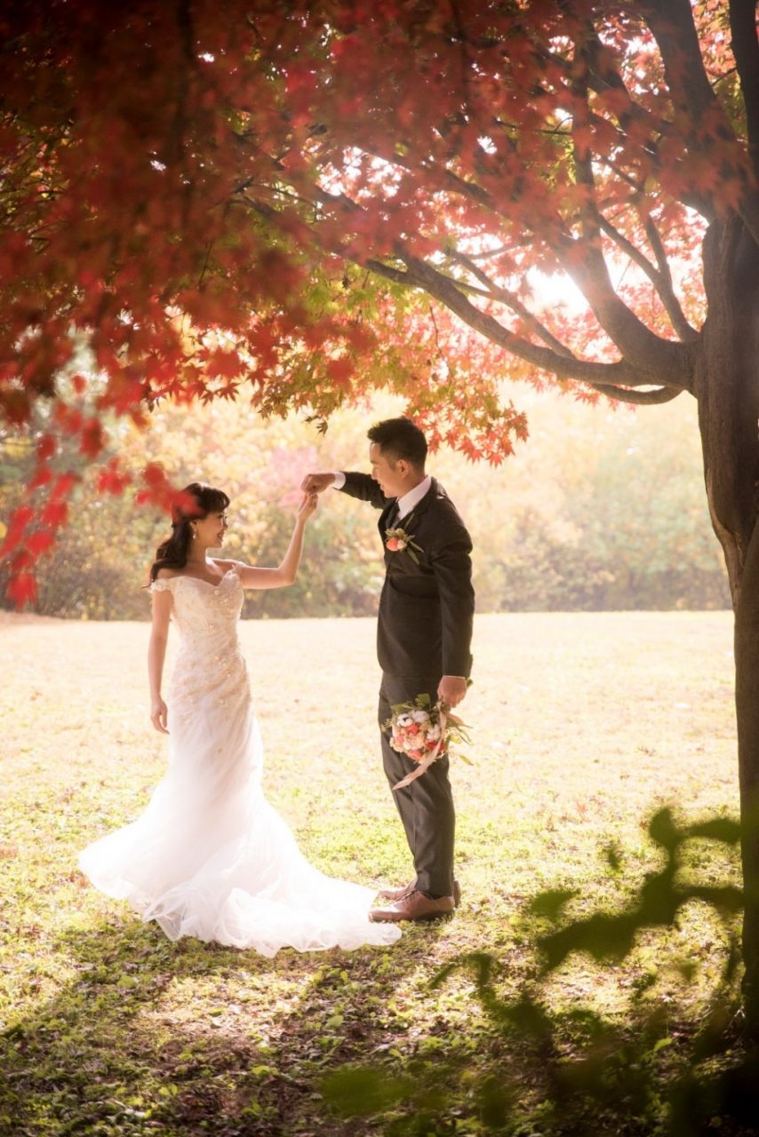 wedding couple under tree in autumn