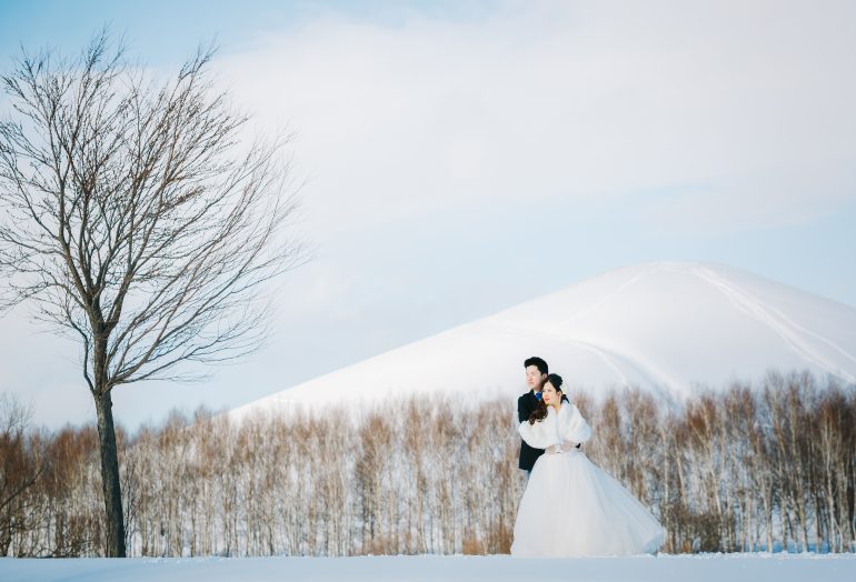 Winter Wedding Dress Cover UPS