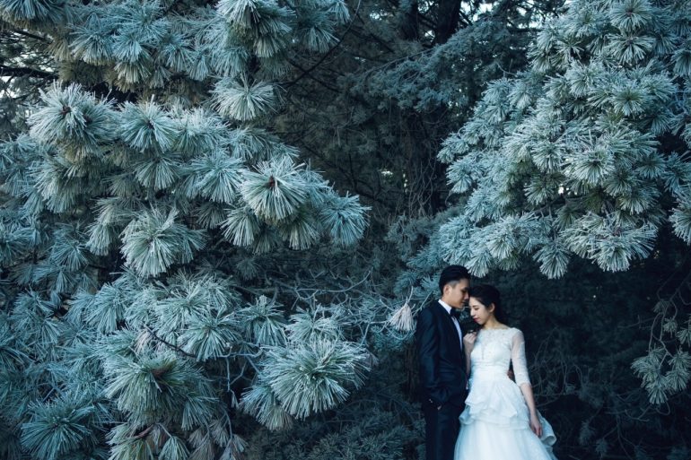 bride in white gown in a winter forest
