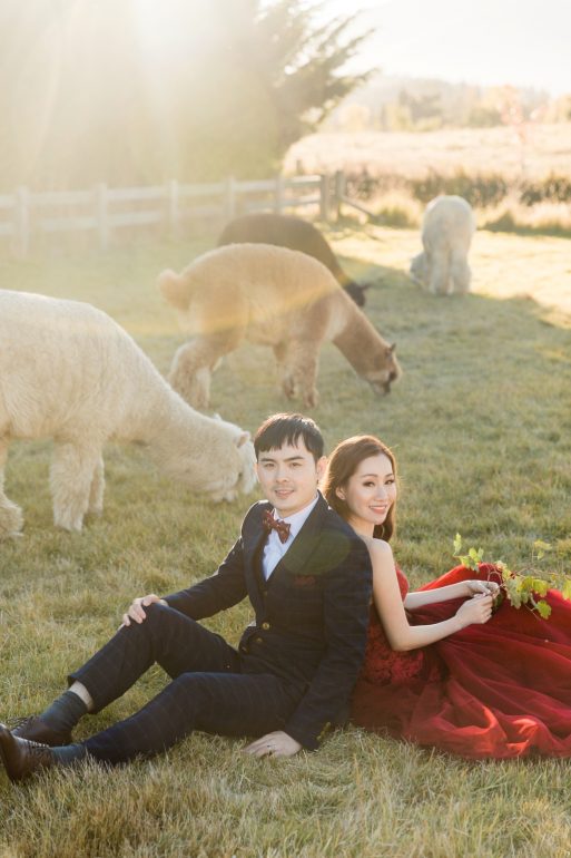wedding photography poses couple sits on grass