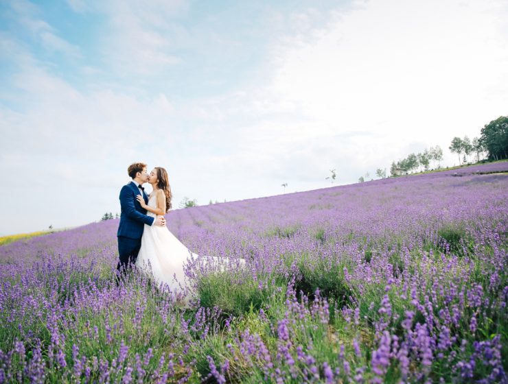 Lavender Field Hokkaido Bridal Couple Pre-Wedding Photography