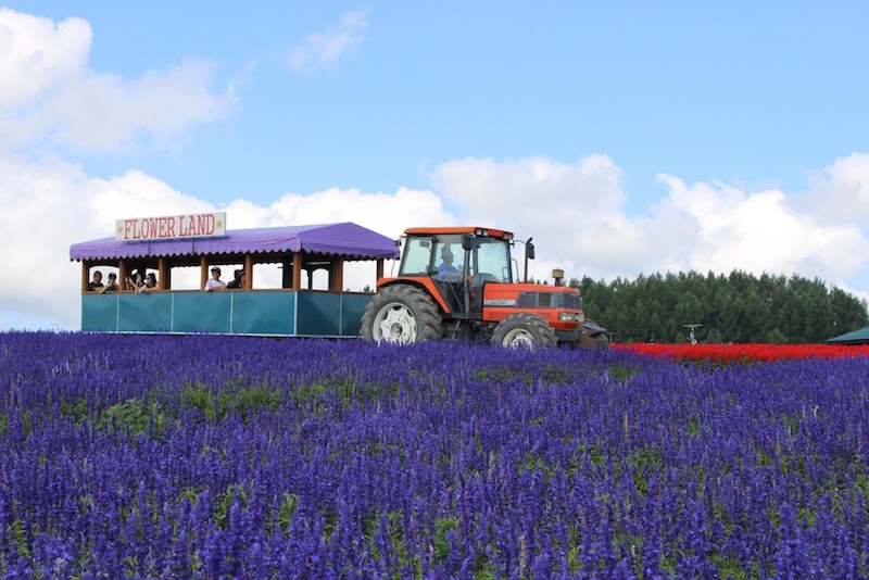 Flower Land Kamifurano Tractor
