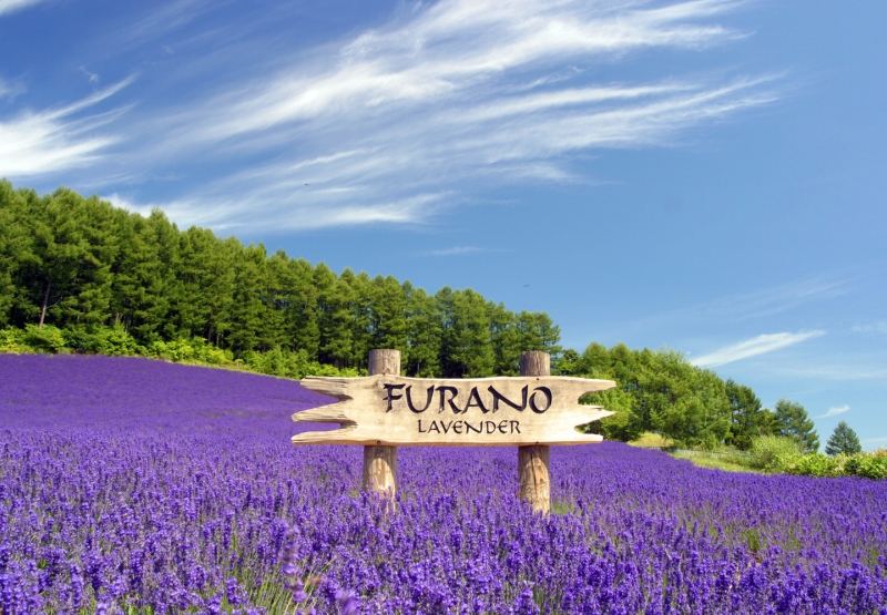 Furano Wine House