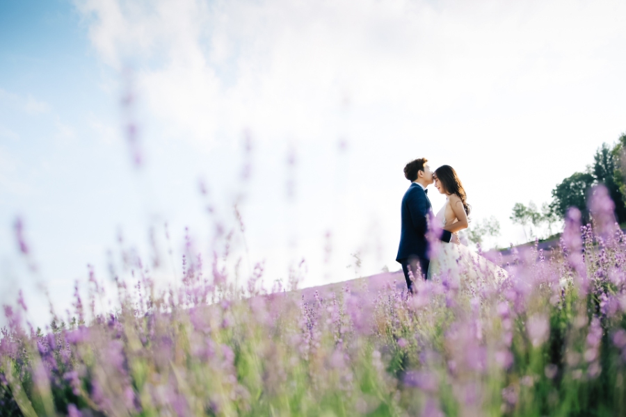 Saika no Sato Farm Couple Pre-Wedding 2