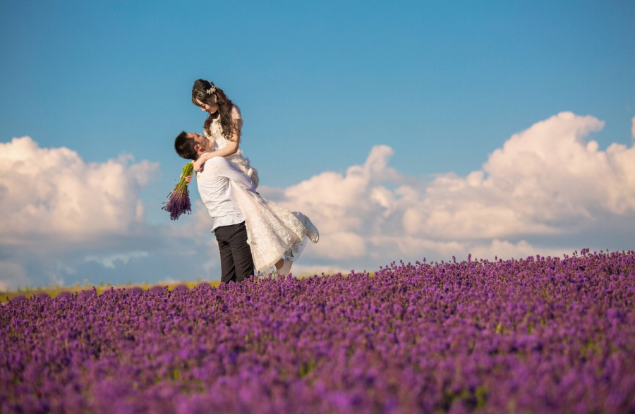 Tomita Lavender Farm Pre-Wedding