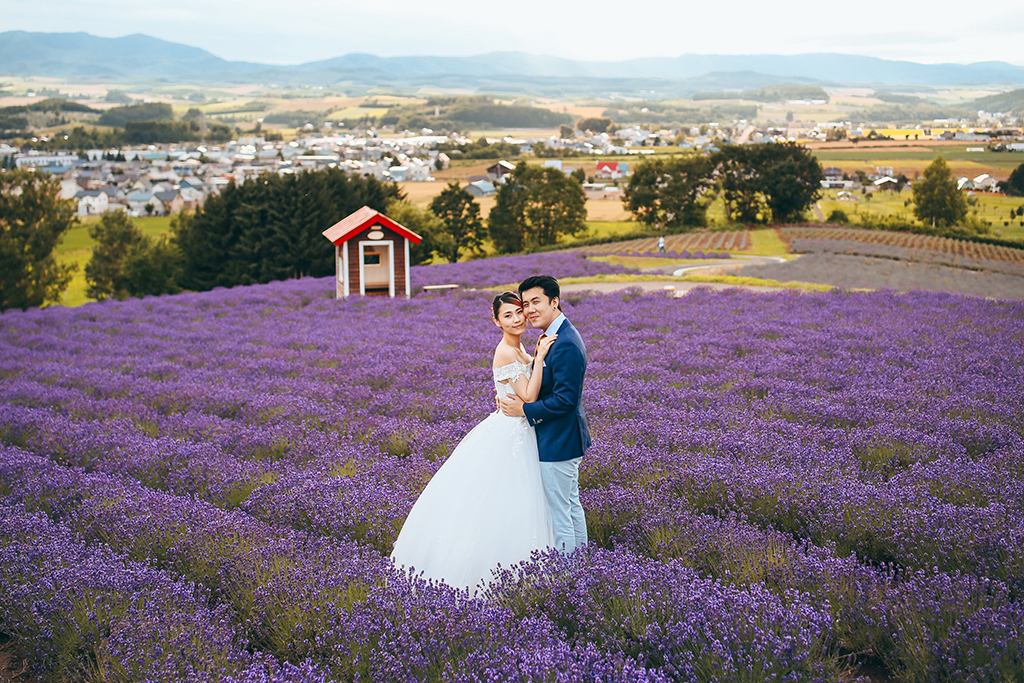 hokkaido lavender field wedding photoshoot
