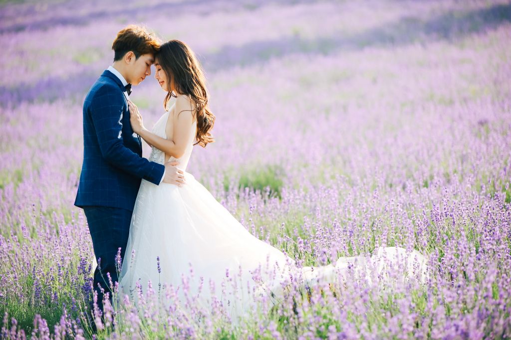 Hokkaido wedding photoshoot lavender fields