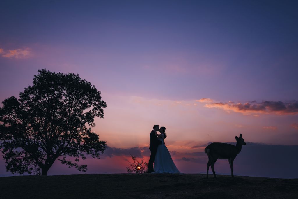 Mount Wakakusasayama wedding photoshoot