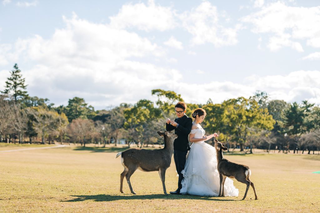 wedding phoyoshoot nara deer park