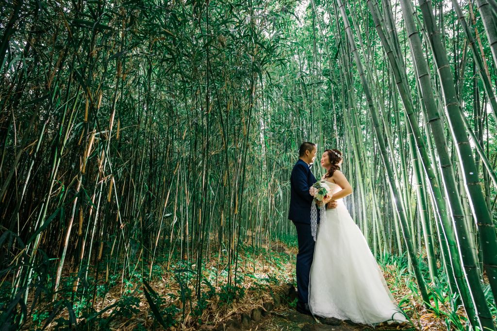 kyoto wedding photoshoot bamboo grove