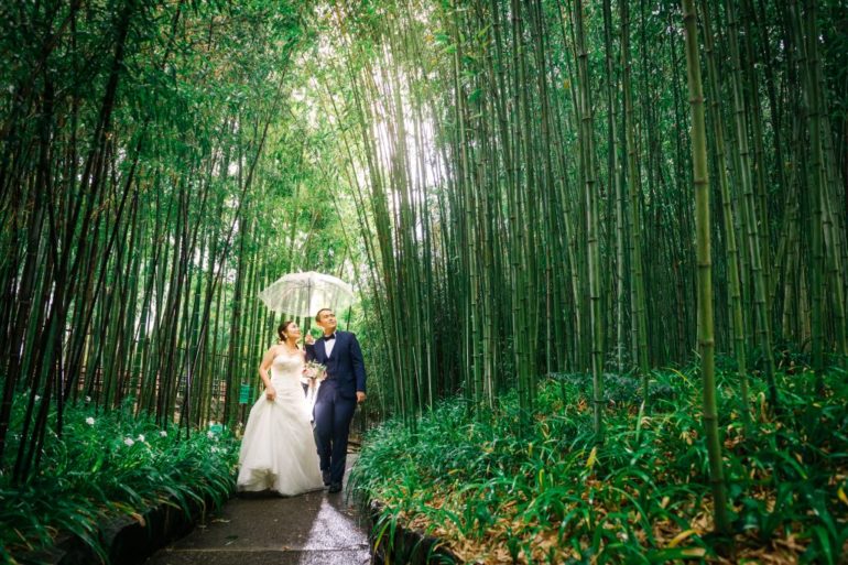kyoto wedding photoshoot bamboo grove