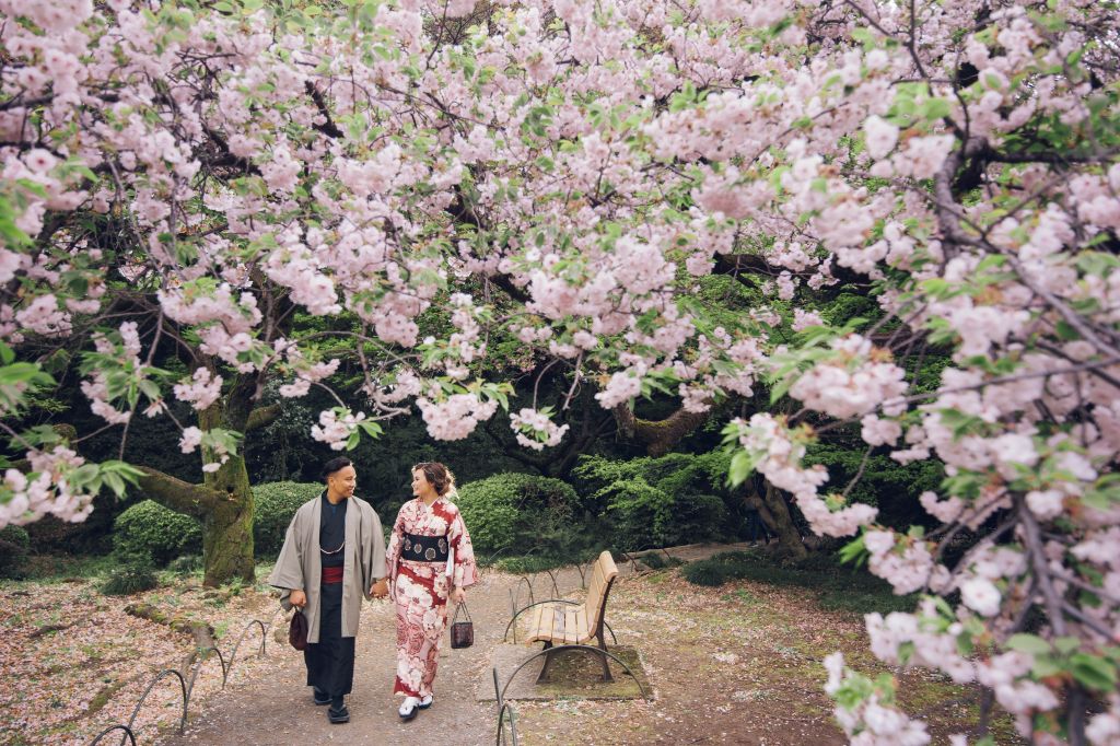 tokyo kimono wedding photoshoot shinjuku gyoen cherry blossoms